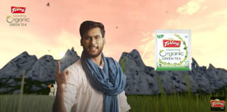 Today Tea Organic Green Tea 